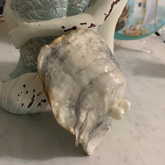 Shabby Chic Boho Shell Decor - Handmade Soy Wax Candle in a Seashell - Picture 14 of 15